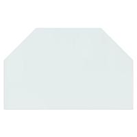 VidaXL Glasplaat openhaard zeshoekig 80x50 cm - thumbnail