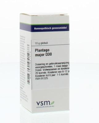 VSM Plantago major D30 10 Gram