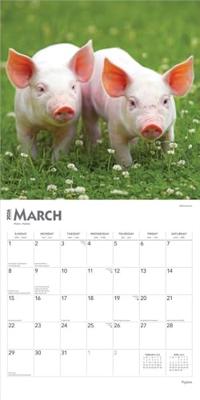Varken Kalender 2026 Varken Kalender 2026