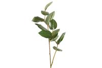 Decostar kunsttak Myrtaceae Jocosa 70 cm groen - thumbnail