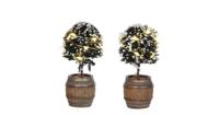 Luville General Buxus tree in a barrel 2 pieces - thumbnail