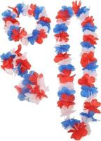 Hawaii set Nederland - thumbnail