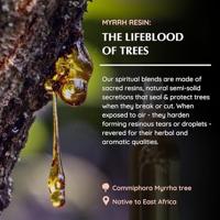 Aromafume Luchtverfrisser Spray Mirre - 100 ml - thumbnail