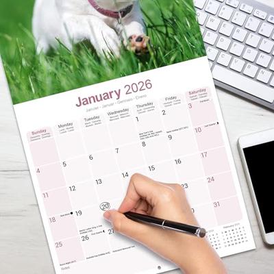 Jack Russell Terrier Kalender 2026