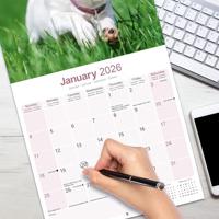 Jack Russell Terrier Kalender 2026 - thumbnail