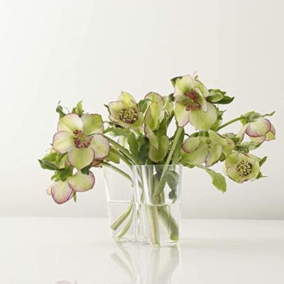 Iittala Alvar Aalto Vaas 9,5 cm
