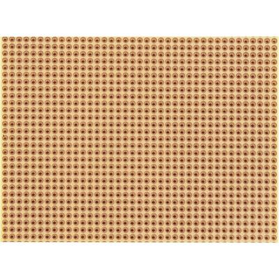 Rademacher WR-Typ 811-2 Printplaat Hardpapier (l x b) 100 mm x 75 mm 35 µm Rastermaat 2.54 mm Inhoud 1 stuk(s)