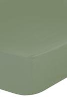 Good Morning Hoeslaken, Groen - (70x140/150 cm) - Katoen Jersey - thumbnail