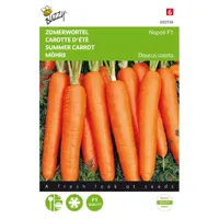 Zaden Zomerwortel Napoli F1 Buzzy - Buzzy - thumbnail