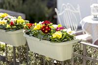 Bama Fioriera Bloem-Balkonbak 60x20x18.5 cm Sagegroen - thumbnail