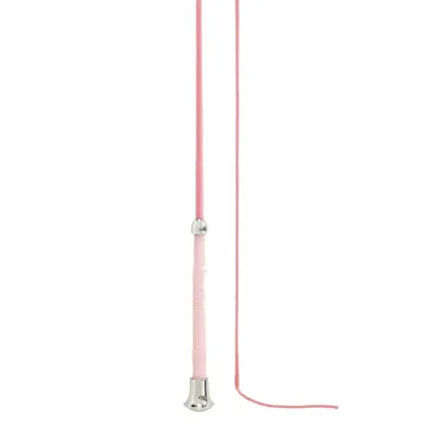 BR Fornax Zweep roze maat:110