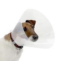 Lampenkap voor honden Trixie (47-55 cm) (47-57 cm) - thumbnail