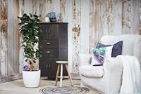 Elho aqua care transparant - thumbnail