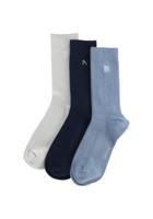 CHASIN' Sokken Lanx - thumbnail