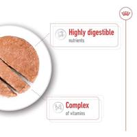 Royal Canin SHN Mini Adult natvoer blik hond 195 gram - thumbnail