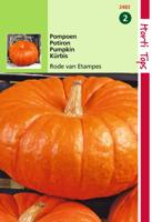 Zaden Pompoenen Rode van Etampes Hortitops - Hortitops - thumbnail