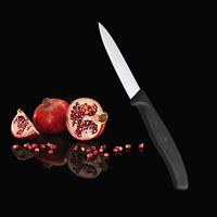 Victorinox 6.7603 Groentemes Zwart - thumbnail