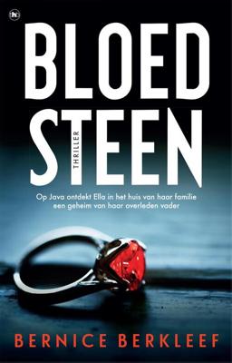 Bloedsteen - Bernice Berkleef - ebook