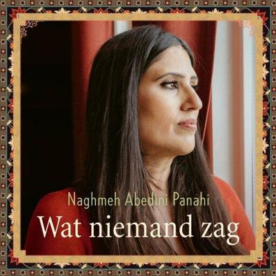 Wat niemand zag