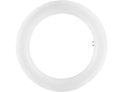 OSRAM LED Energielabel A+ (A++ - E) G10q Ring 12 W Neutraalwit (Ø x l) 30 mm x 205 mm 1 stuk(s)