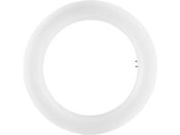 OSRAM LED Energielabel A+ (A++ - E) G10q Ring 12 W Neutraalwit (Ø x l) 30 mm x 205 mm 1 stuk(s) - thumbnail