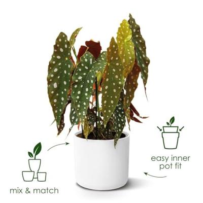 Bloempot B.for soft 16 cm wit elho - Elho - thumbnail