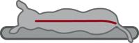 TRIXIE VITAL MATRAS BENDSON ORTHOPEDISCH DONKERGRIJS / LICHTGRIJS 100X65X10 CM - thumbnail