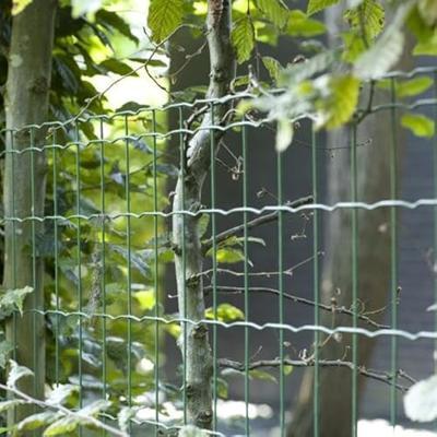 Betafence 7061259 Traliehek 25 m