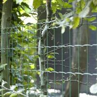 Betafence 7061259 Traliehek 25 m - thumbnail