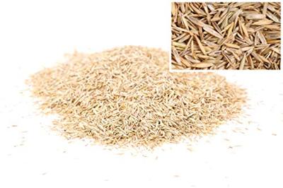 Wolf Garten Gazon sport&spel LG 250 - 3825030