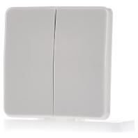 Jung CD595 Serieschakelaar, Serietoets Afdekking 2-voudig Crème-wit 1 stuk(s) - thumbnail