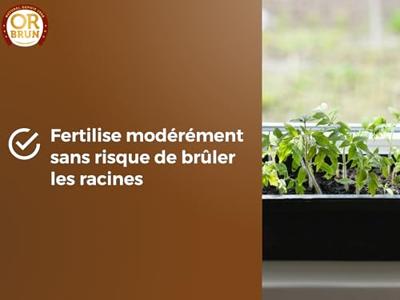 Potgrond OR BRUN 6 L