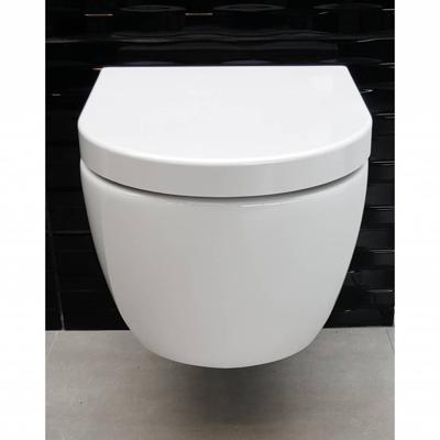 Hangtoilet Sanilux Easy Flush Compact Randloos 48cm (incl. zitting)