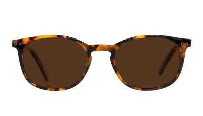 Leeszonnebril Frank and Lucie Eyecon-Havanna FL12500-+3.00