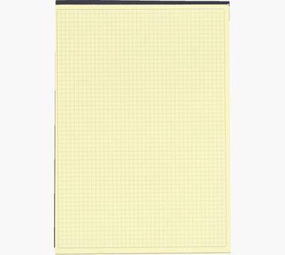 Exacompta notitieboeken, ft 29,7 x 21 cm, Black, geel papier, 70 vel, geruit Q5 Exacompta notitieboeken, ft 29,7 x 21 cm, Black, geel papier, 70 vel, geruit Q5