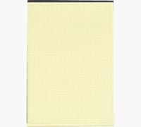 Exacompta notitieboeken, ft 29,7 x 21 cm, Black, geel papier, 70 vel, geruit Q5 - thumbnail