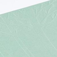 Vaessen Creative • embossing folder bos - thumbnail