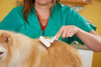 Haarstijl Andis Staal Plastic Hark Draaiend - thumbnail