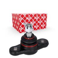 Fuseekogel 41709 - thumbnail