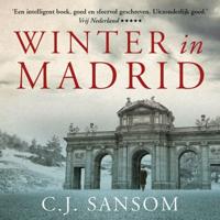 Winter in Madrid - thumbnail