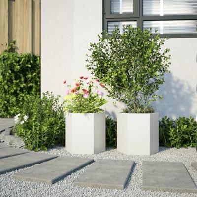 Plantenbakken 2 st zeshoek 46x40x45 cm staal wit Plantenbakken 2 st zeshoek 46x40x45 cm staal wit