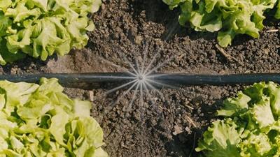 Initiatieset voor GARDENA moestuinen - tot 60m² - 13450-20 - thumbnail