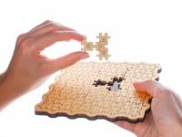 Recent Toys Not a jigsaw breinpuzzel - thumbnail