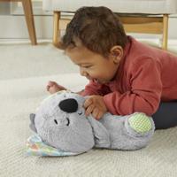 Fisher Price Soothe and Snuggle Knuffel Koala + Licht en Geluid - thumbnail