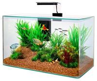 ZOLUX AQUARIUM CLEAR KIT ZWART 32 LTR 50X25X38 CM - thumbnail