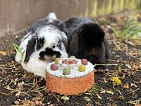 Rosewood rosweood naturals verjaardagstaart - thumbnail