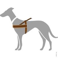 Hunter harnas norweger racing nylon bruin / cognac - thumbnail