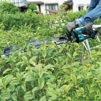 Makita DUH606Z Accu Heggenschaar 60cm 18V Basic Body - thumbnail