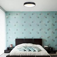 Steinhauer Plafondlamp Ringlede Ø 38 cm 2562 zwart - thumbnail