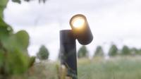 Pinero LED prikspot - GU10 4 Watt 345 lumen - Dimbaar - Kantelbaar - 2700K warm wit - IP65 Waterdicht - Zwart - Tuinspot - Pinspot - thumbnail